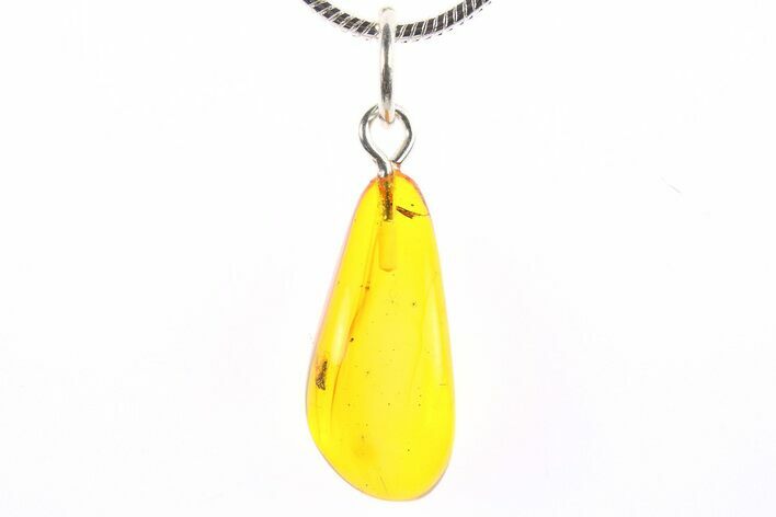 Polished Baltic Amber Pendant (Necklace) - Contains Fly! #273770